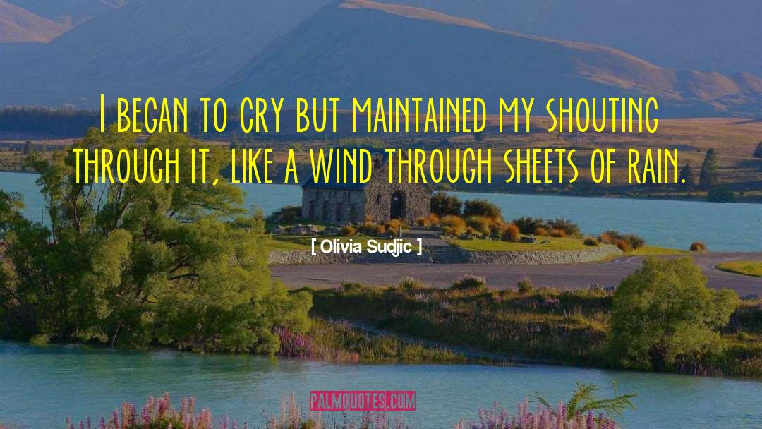 Wind Farms quotes by Olivia Sudjic