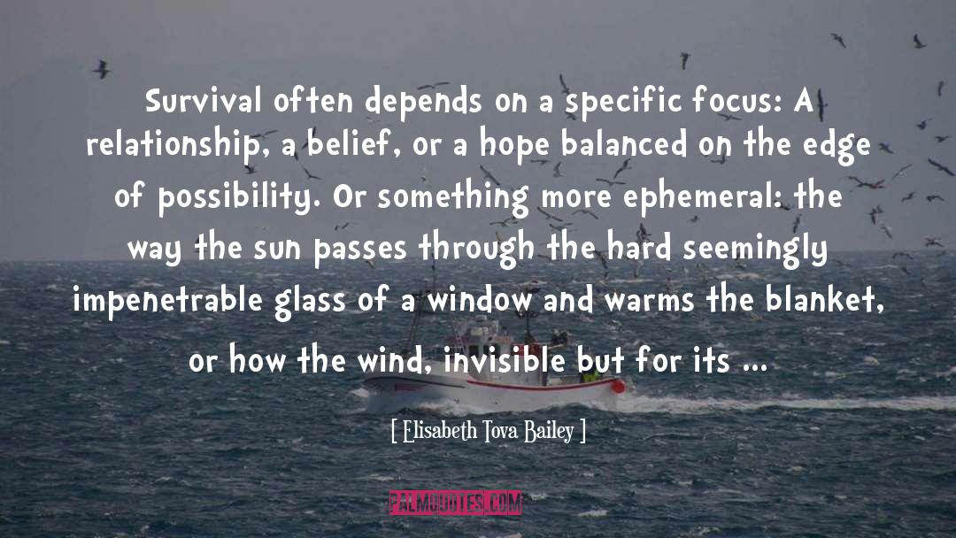 Wind Farms quotes by Elisabeth Tova Bailey