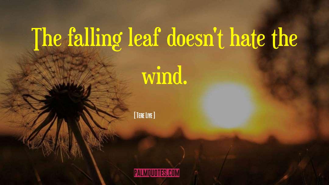 Wind Hair quotes by Tere Liye