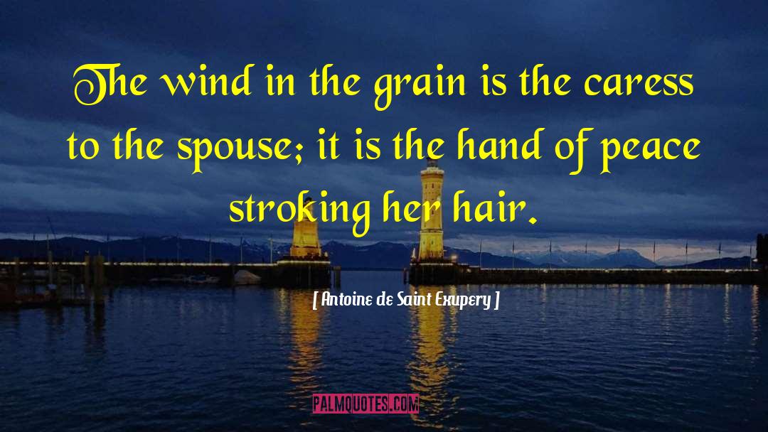 Wind Hair quotes by Antoine De Saint Exupery