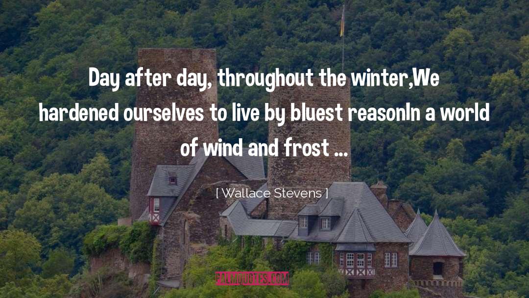 Wind Howling quotes by Wallace Stevens