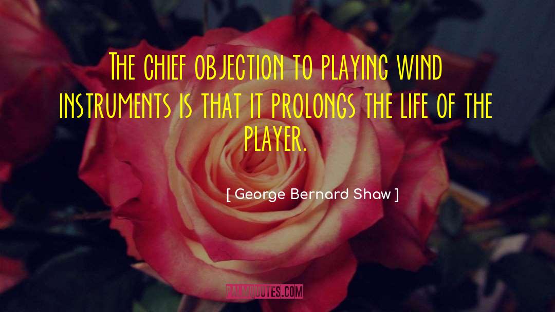 Wind Howling quotes by George Bernard Shaw