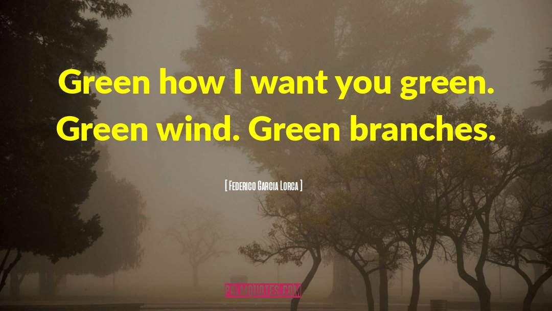 Wind Turbines quotes by Federico Garcia Lorca