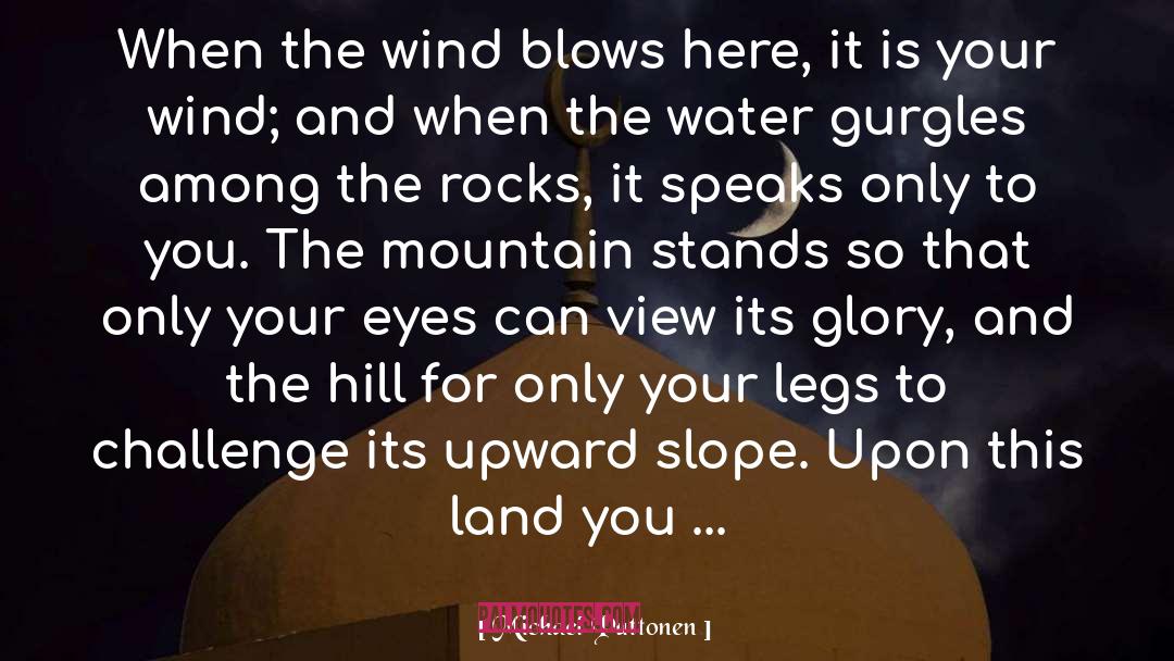 Wind Turbines quotes by Michael Puttonen
