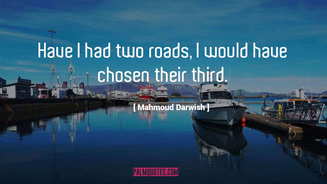 Winding Roads quotes by Mahmoud Darwish