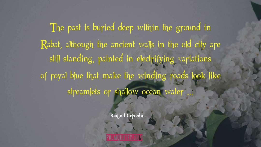 Winding Roads quotes by Raquel Cepeda