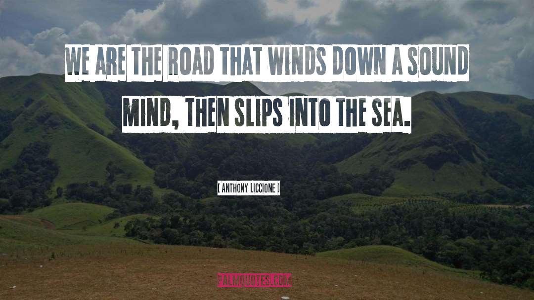 Winding Roads quotes by Anthony Liccione