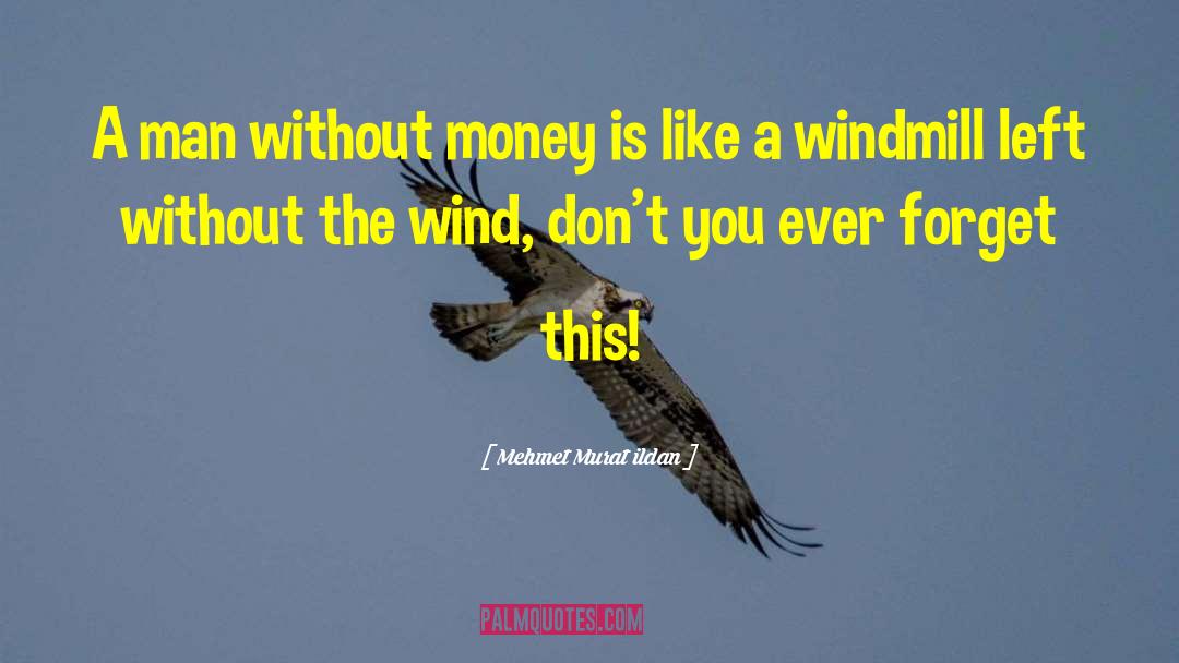 Windmill quotes by Mehmet Murat Ildan