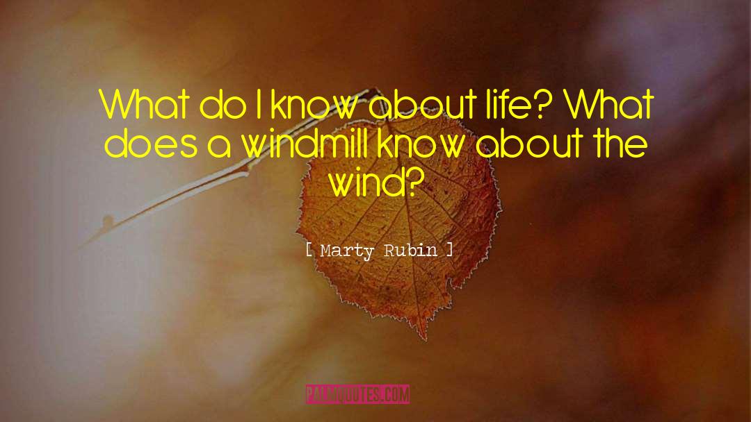 Windmill quotes by Marty Rubin