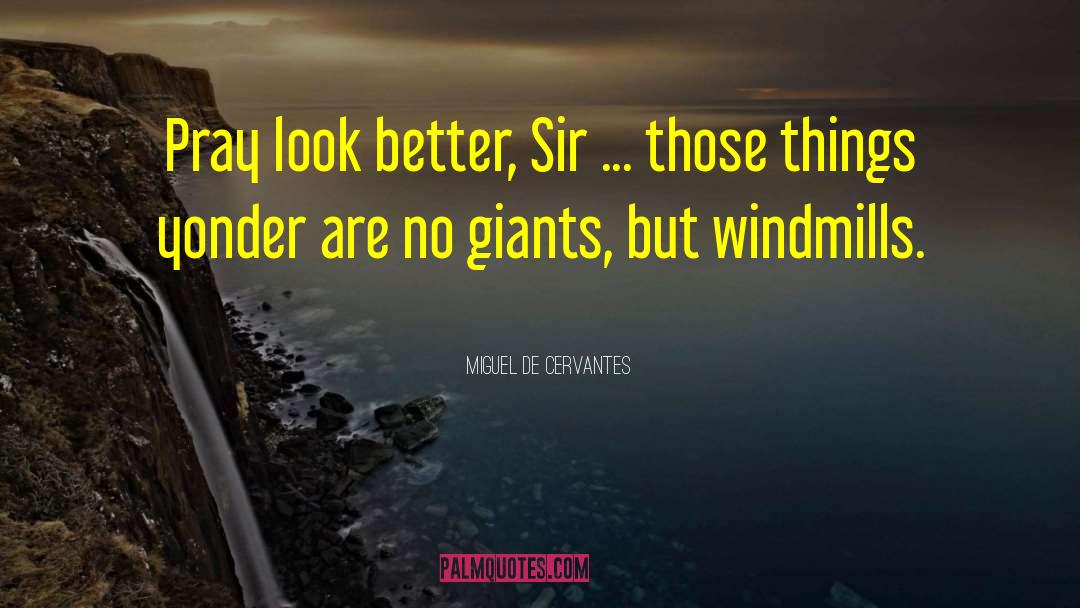 Windmills quotes by Miguel De Cervantes