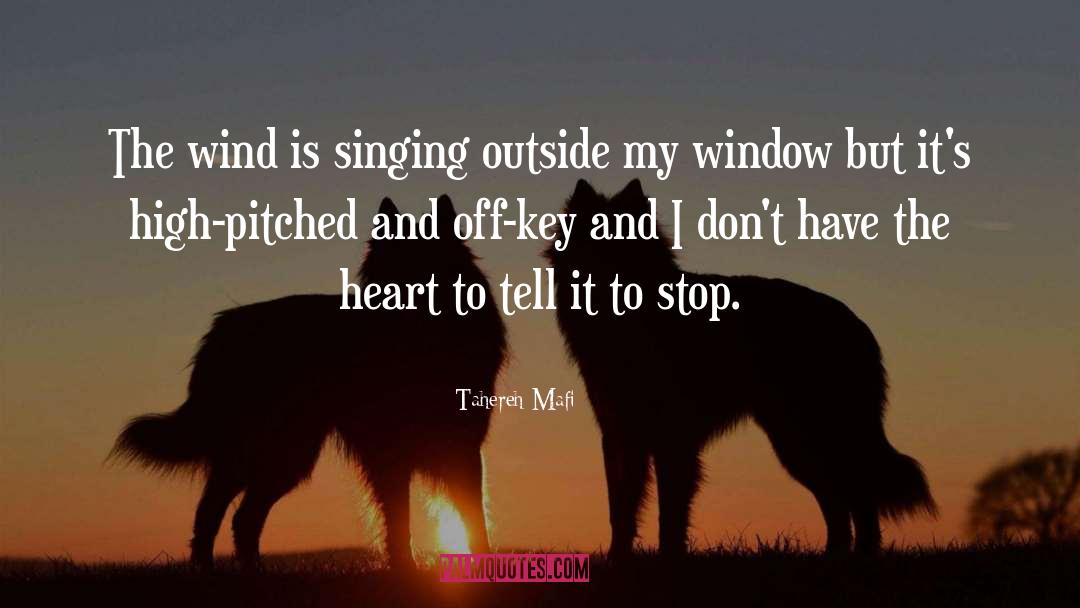 Window Dressing quotes by Tahereh Mafi