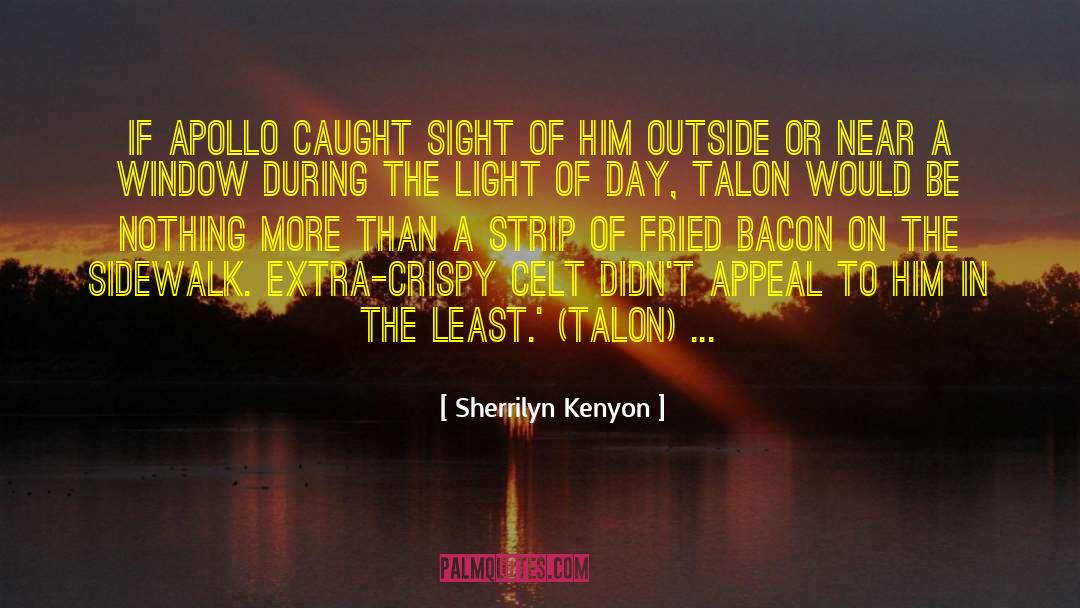 Window Of Light quotes by Sherrilyn Kenyon