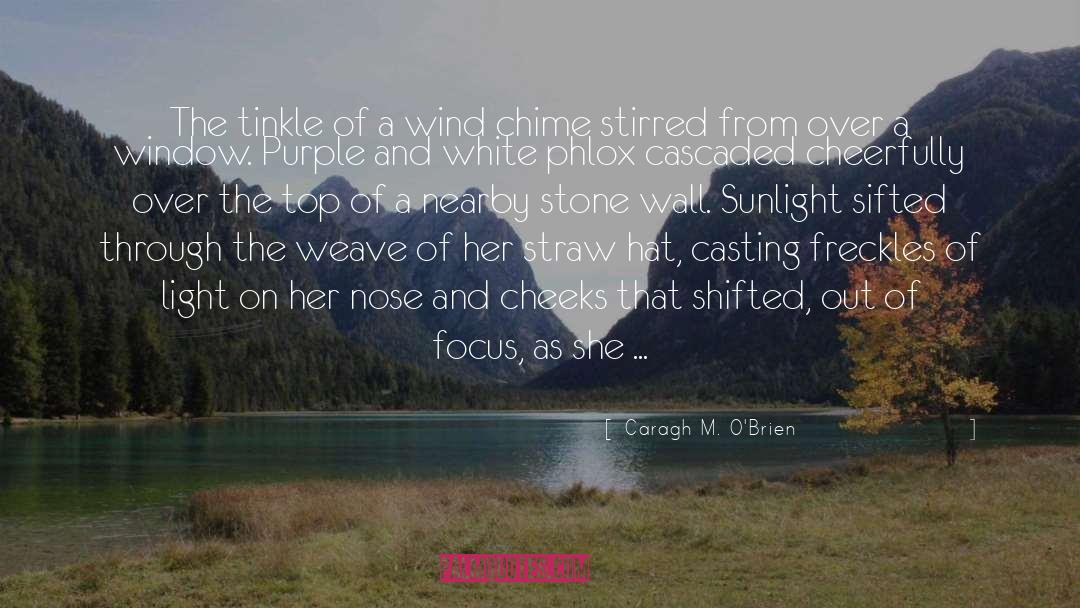 Window Of Light quotes by Caragh M. O'Brien