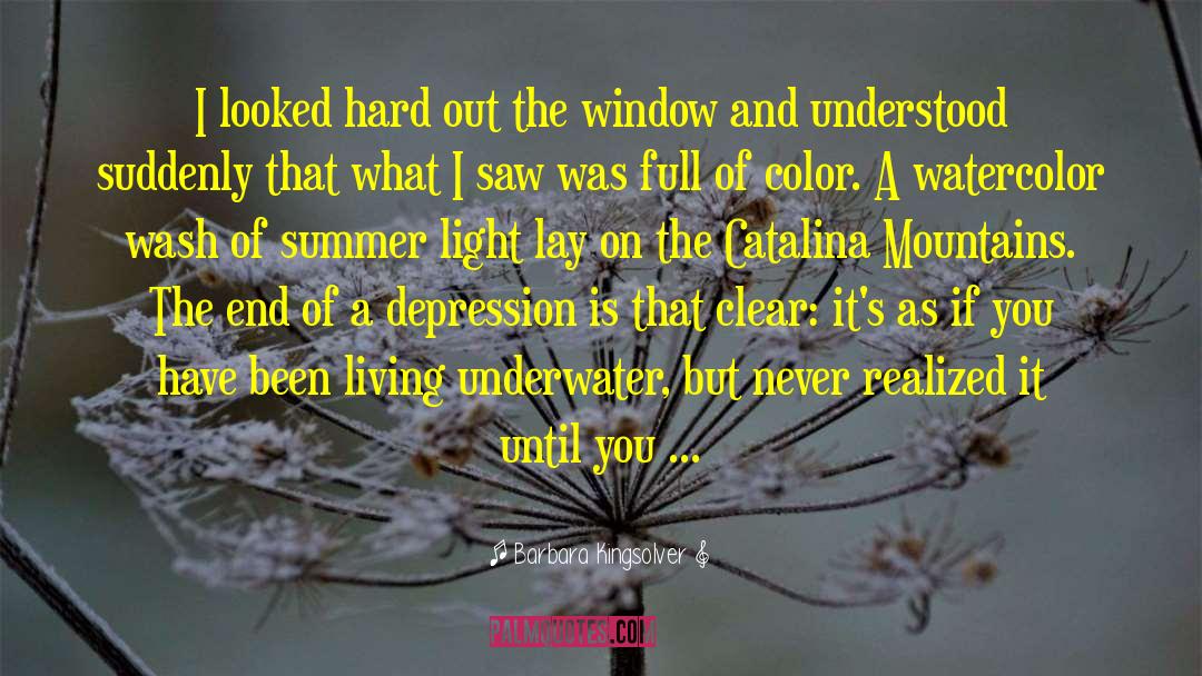 Window Of Light quotes by Barbara Kingsolver