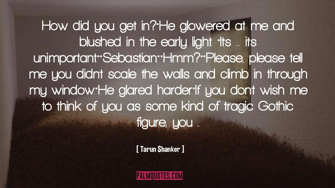 Window Of Light quotes by Tarun Shanker