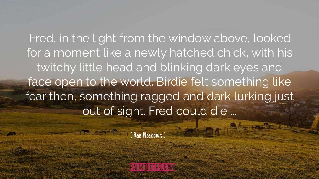 Window Of Light quotes by Rae Meadows