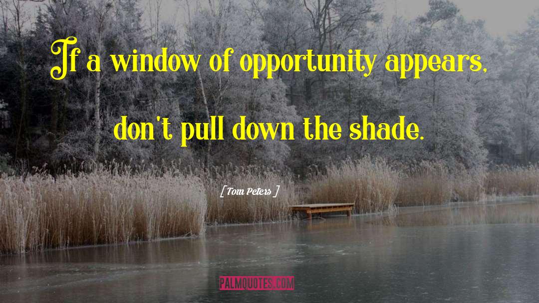 Window Of Opportunity quotes by Tom Peters