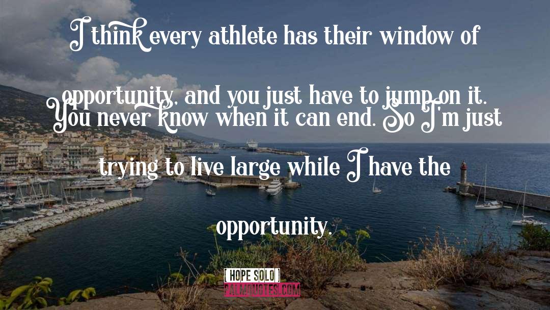 Window Of Opportunity quotes by Hope Solo