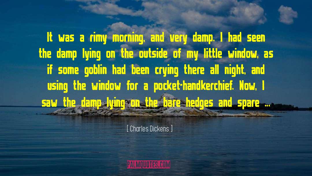 Window Of Opportunity quotes by Charles Dickens
