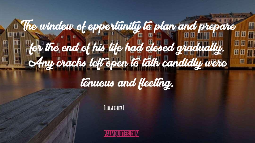 Window Of Opportunity quotes by Lisa J. Shultz