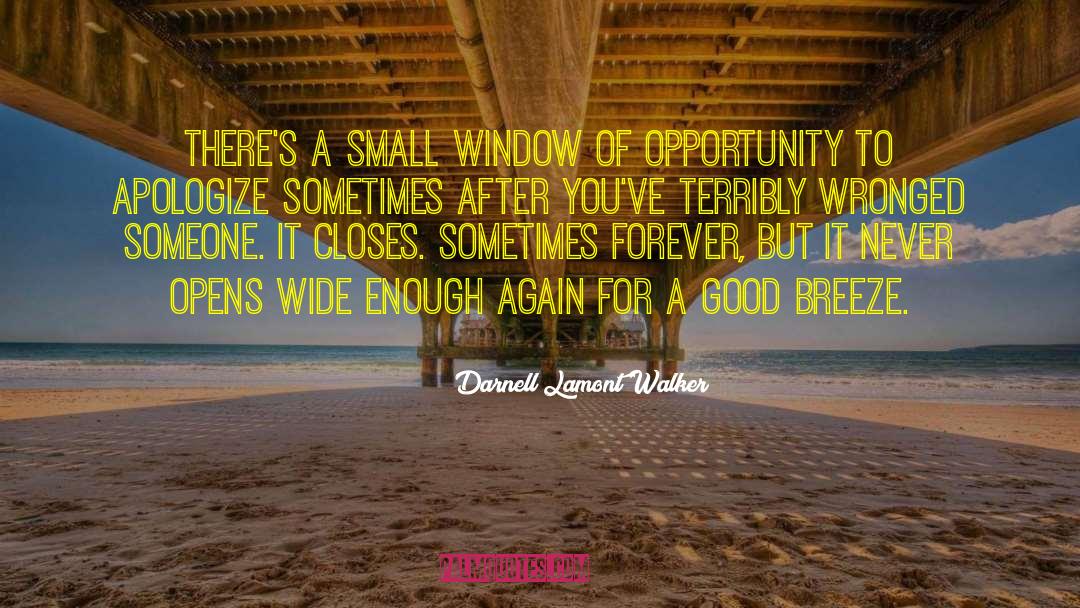 Window Of Opportunity quotes by Darnell Lamont Walker