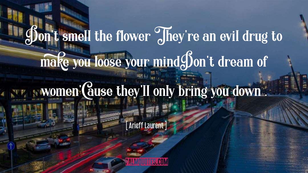 Window Of The Mind quotes by Arieff Laurent