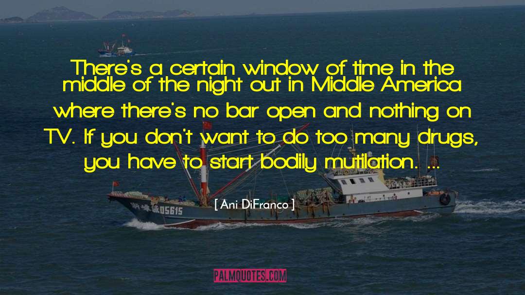 Window Of Time quotes by Ani DiFranco