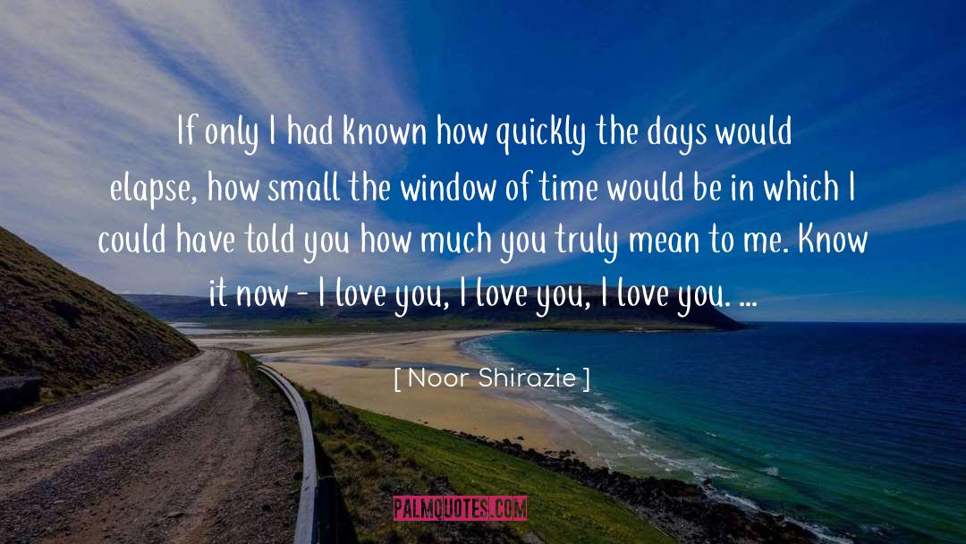 Window Of Time quotes by Noor Shirazie