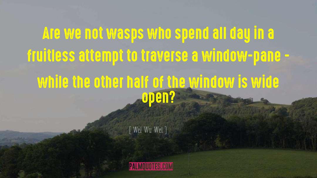 Window Panes quotes by Wei Wu Wei