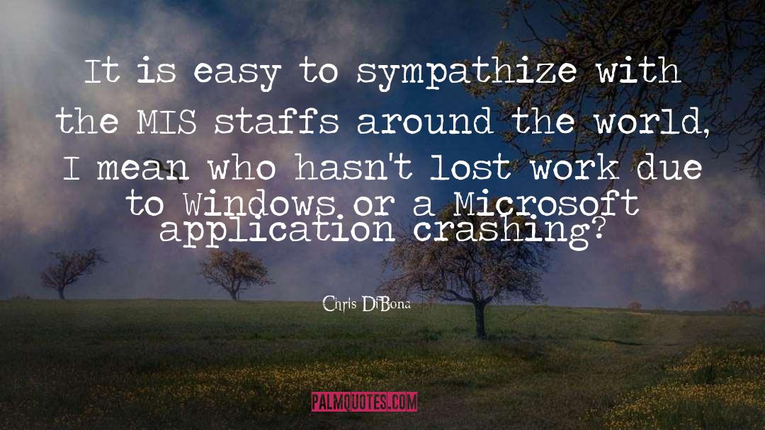 Window Panes quotes by Chris DiBona