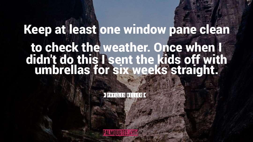 Window Panes quotes by Phyllis Diller