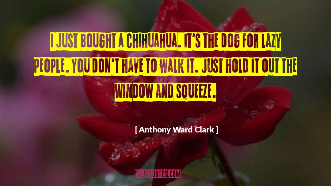 Window Panes quotes by Anthony Ward Clark