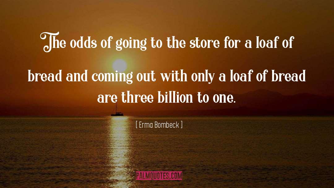 Window Shopping Funny quotes by Erma Bombeck