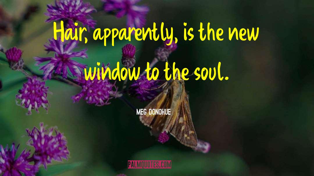 Window To The Soul quotes by Meg Donohue