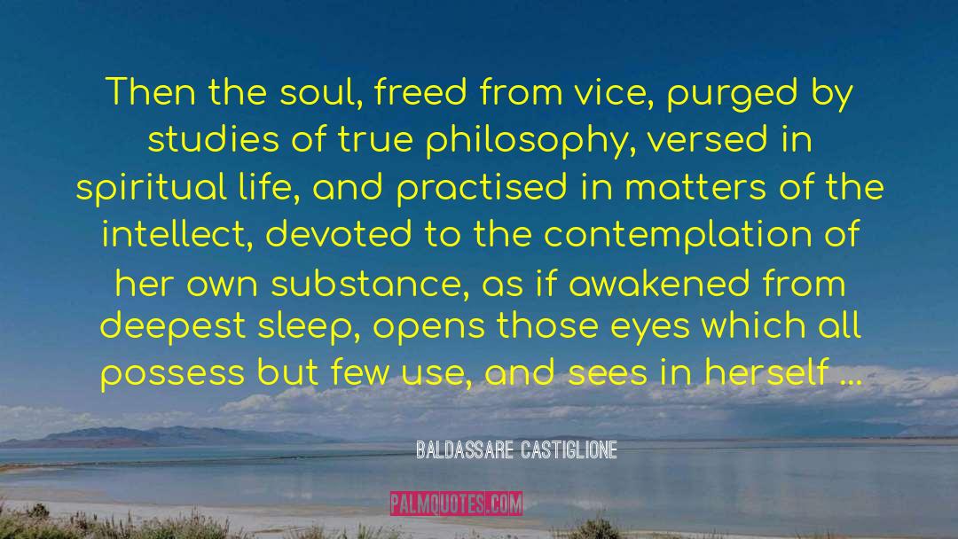 Window To The Soul quotes by Baldassare Castiglione