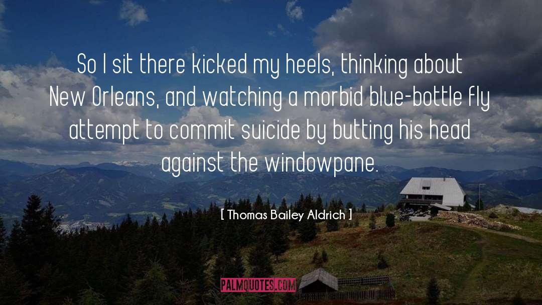 Windowpane quotes by Thomas Bailey Aldrich