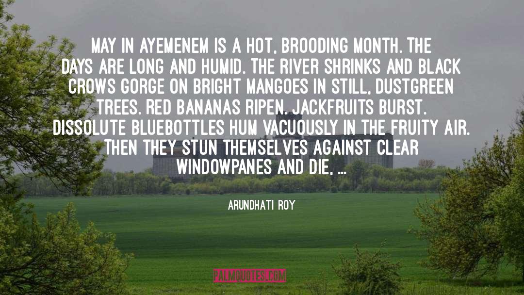 Windowpane quotes by Arundhati Roy