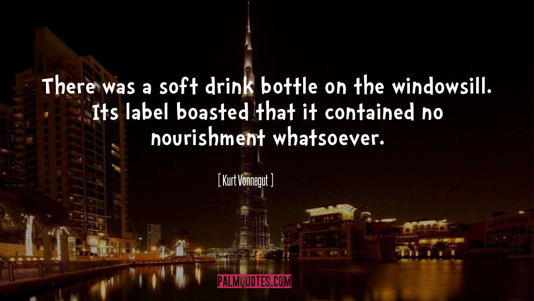 Windowsill quotes by Kurt Vonnegut