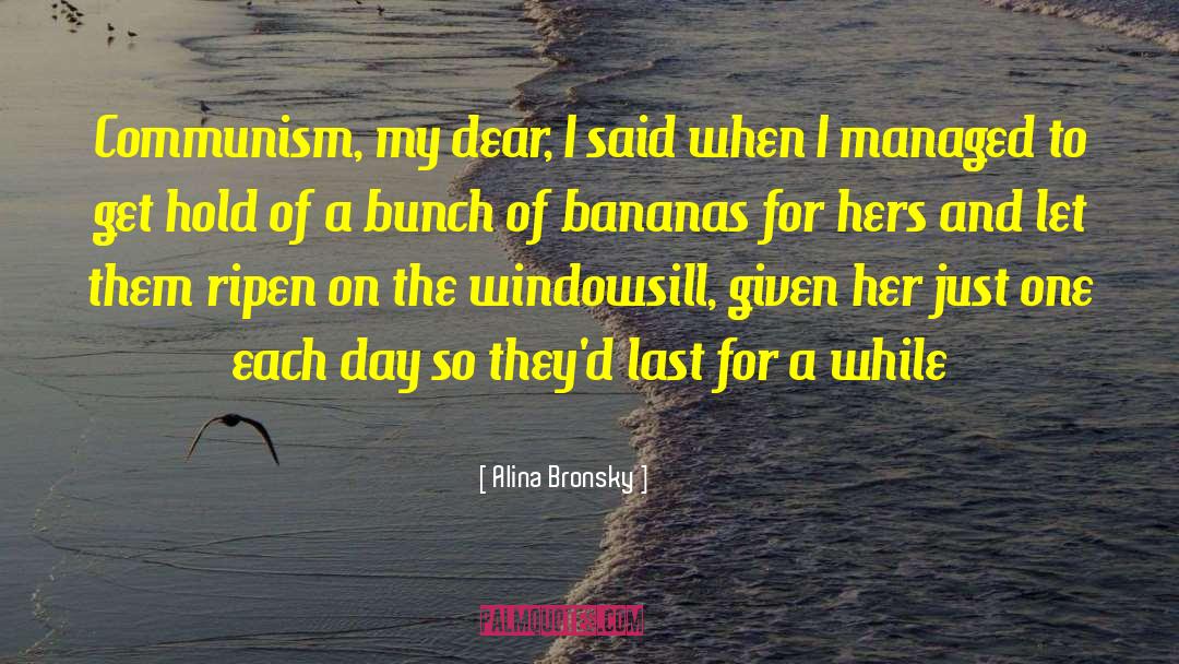 Windowsill quotes by Alina Bronsky