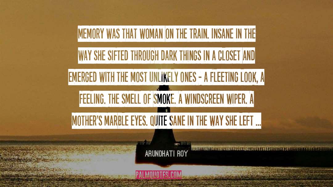 Windscreen quotes by Arundhati Roy