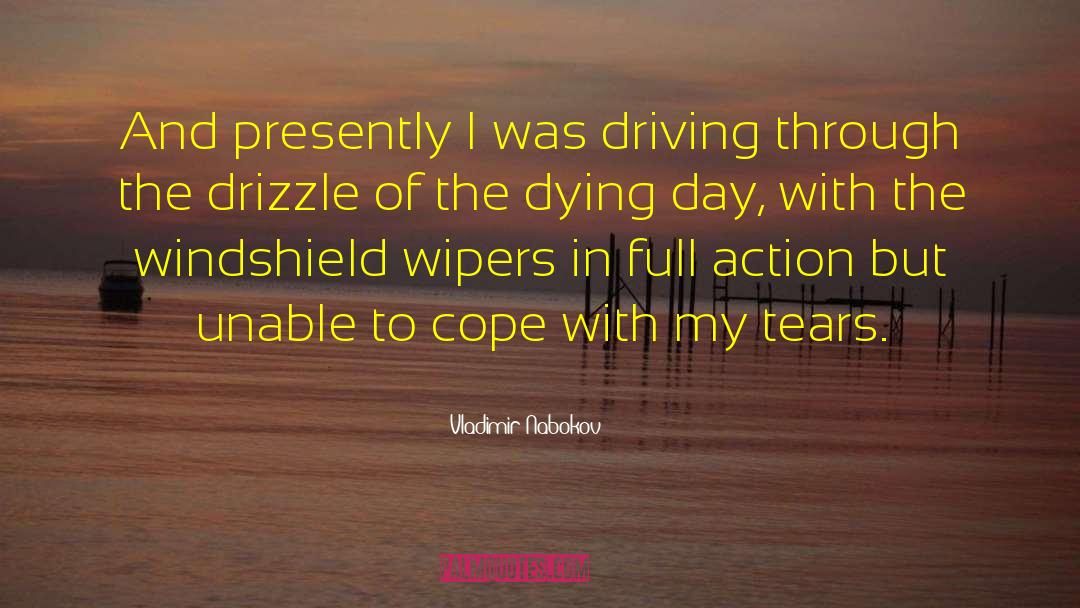 Windshield Wipers quotes by Vladimir Nabokov