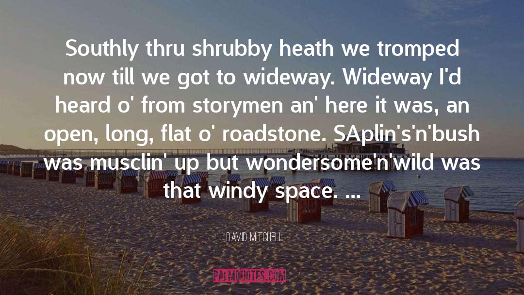 Windy quotes by David Mitchell