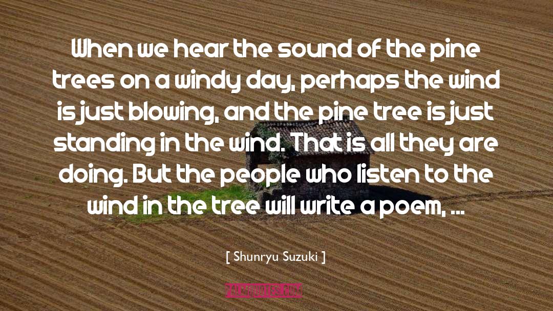 Windy quotes by Shunryu Suzuki
