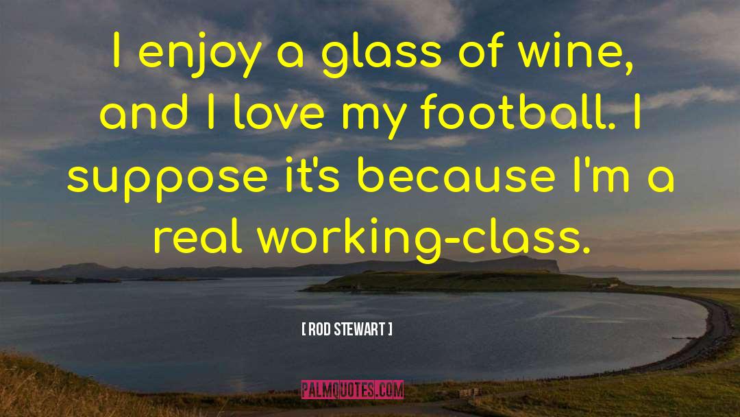 Wine Glass quotes by Rod Stewart