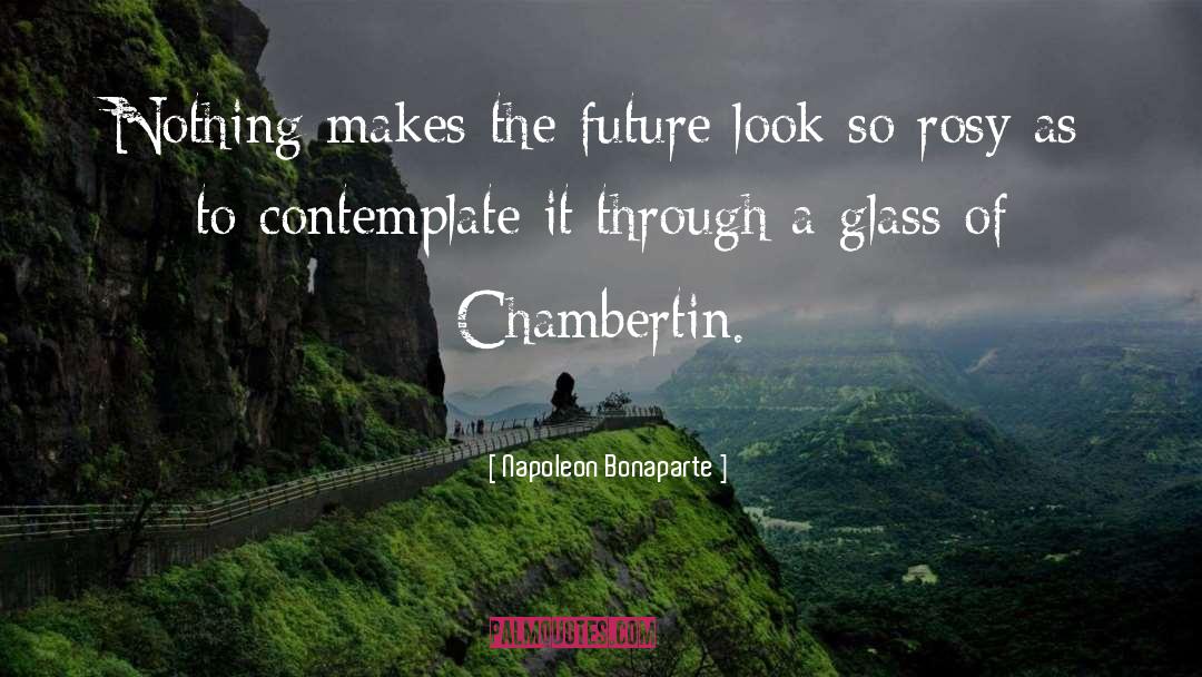 Wine Glass quotes by Napoleon Bonaparte