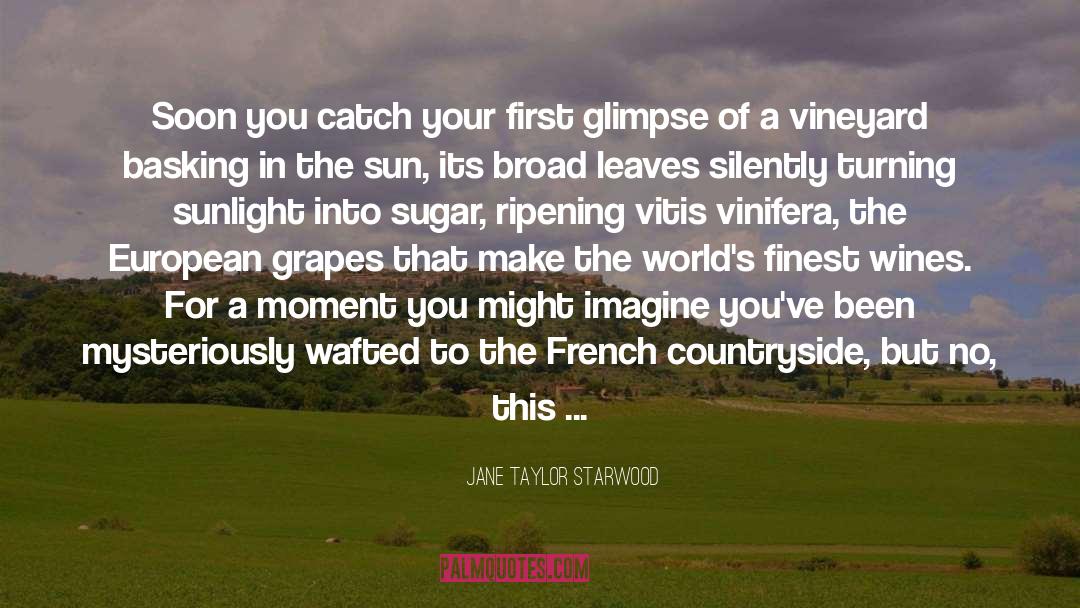 Wine Grapes Humor quotes by Jane Taylor Starwood