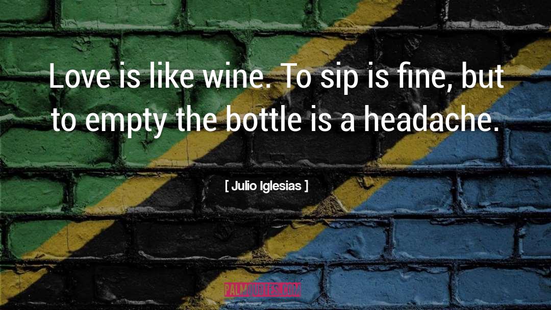 Wine Love quotes by Julio Iglesias