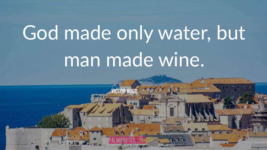 Wine Tasting With Friends quotes by Victor Hugo