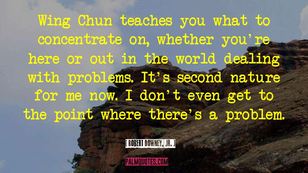 Wing Chun quotes by Robert Downey, Jr.