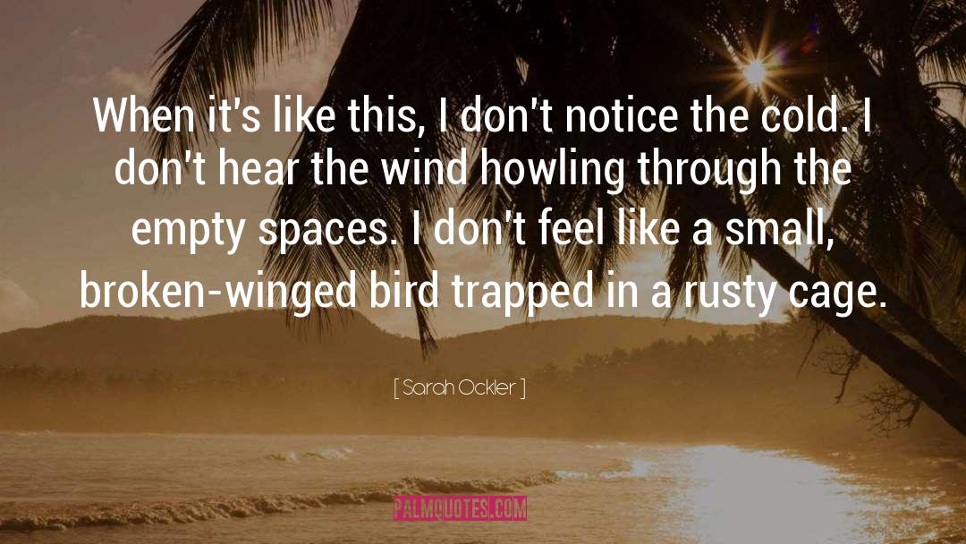 Winged quotes by Sarah Ockler